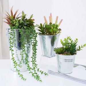 Εργοστάσιο άμεση προσφορά τεχνητό χυμώδη σε σίδερο